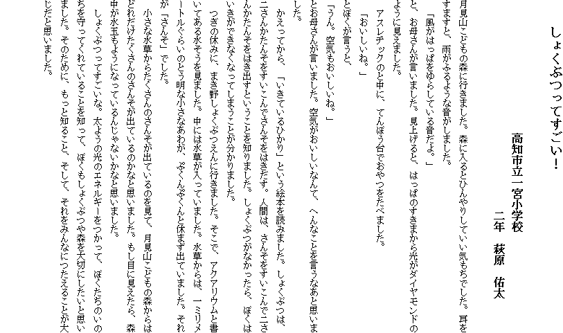 
　　しょくぶつってすごい！
　
　　　　　　　　　　　　高知市立一宮小学校
　　　　　　　　　　　　　　　　　　　二年　萩原　佑太

月見山こどもの森に行きました。森に入るとひんやりしていい気もちでした。耳をすますと、雨がふるような音がしました。
　「風がはっぱをゆらしている音だよ。」
と、お母さんが言いました。見上げると、はっぱのすきまから光がダイヤモンドのように見えました。
　アスレチックのと中に、てんぼう台でおやつをたべました。
　「おいしいね。」
とぼくが言うと、
「うん。空気もおいしいね。」
とお母さんが言いました。空気がおいしいなんて、へんなことを言うなあと思いました。
　かえってから、「いきているひかり」という絵本を読みました。しょくぶつは、二さんかたんそをすいこんでさんそをはきだす。人間は、さんそをすいこんで二さんかたんそをはき出すということを知りました。しょくぶつがなかったら、ぼくはいきができなくなってしまうことが分かりました。
　つぎの休みに、まき野しょくぶつえんに行きました。そこで、アクアリウムと書いてある水そうを見ました。中には水草が入っていました。水草からは、一ミリメートルぐらいのとう明な小さなあわが、ぷくんぷくんと休まず出ていました。それが「さんそ」でした。
　小さな水草からたくさんのさんそが出ているのを見て、月見山こどもの森からはどれだけたくさんのさんそが出ているのかなと思いました。もし目に見えたら、森中が水玉もようになっているんじゃないかなと思いました。
　しょくぶつってすごいな。太ようの光のエネルギーをつかって、ぼくたちのいのちを守ってくれていることを知って、ぼくもしょくぶつや森を大切にしたいと思いました。そのために、もっと知ること、そして、それをみんなにつたえることが大じだと思いました。
