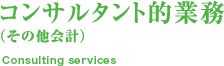 コンサルタント的業務（その他会計）