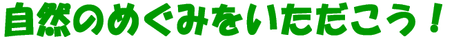 R̂߂݂I 