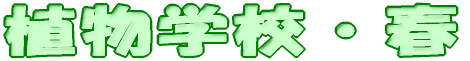 AwZEt 