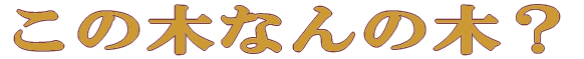 AwZEt 