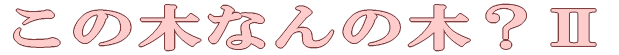 AwZEt 