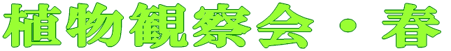 AwZEt 