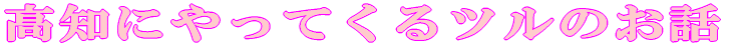 AwZEt 