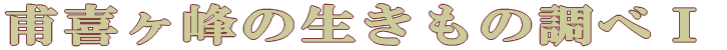 AwZEt 