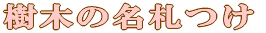 AwZEt 