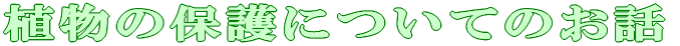 AwZEt 