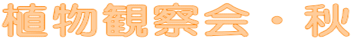 Aώ@EH