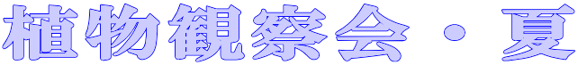 Aώ@E