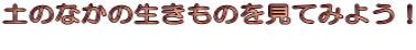 ŷȂ̐̂Ă݂悤I 