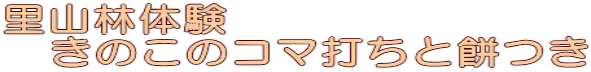 Rё̌ @̂̃R}łƖ݂