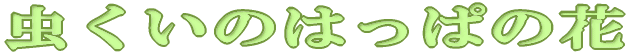 ͂ς̉tW 