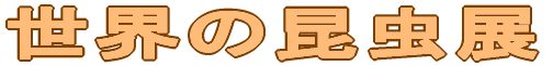 E̍W 