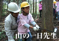 山の一日先生
